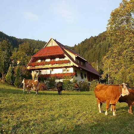 Unterer Gurethshof Apartment Zell am Harmersbach Luaran gambar