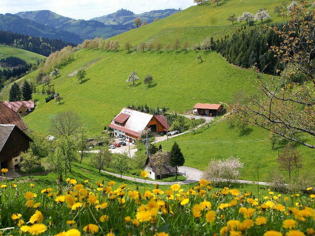Unterer Gurethshof Apartment Zell am Harmersbach Luaran gambar