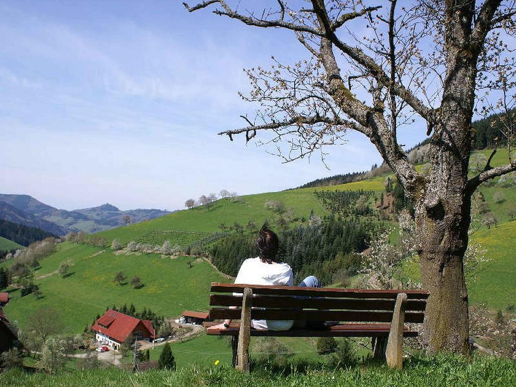Unterer Gurethshof Apartment Zell am Harmersbach Luaran gambar