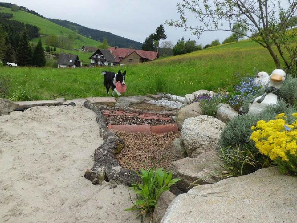 Unterer Gurethshof Apartment Zell am Harmersbach Luaran gambar
