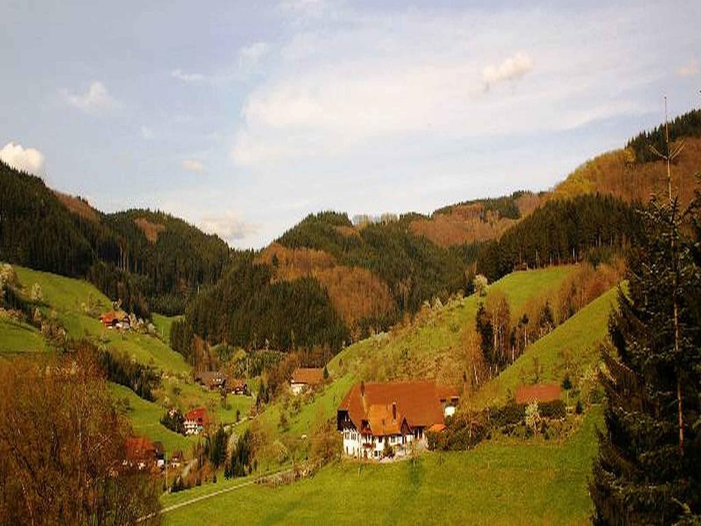 Unterer Gurethshof Apartment Zell am Harmersbach Luaran gambar