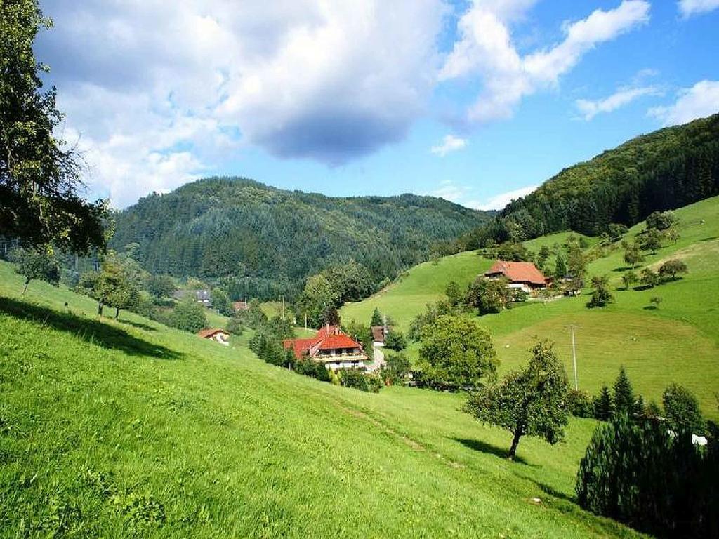 Unterer Gurethshof Apartment Zell am Harmersbach Luaran gambar