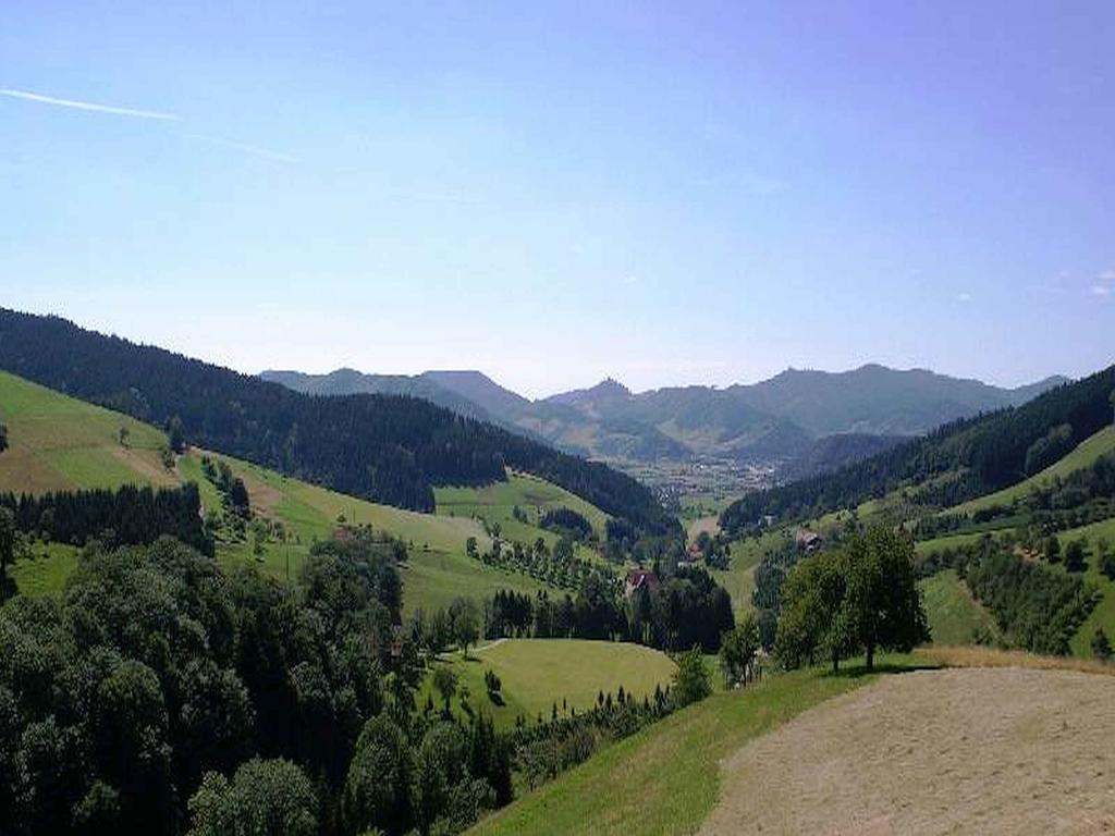 Unterer Gurethshof Apartment Zell am Harmersbach Luaran gambar