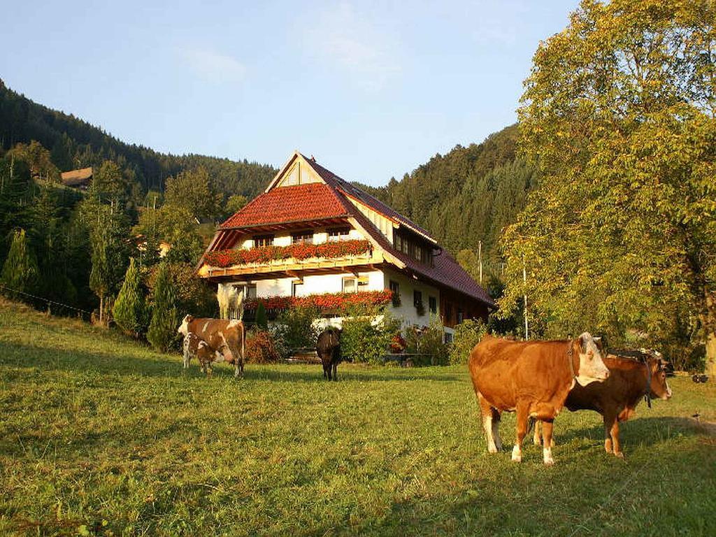 Unterer Gurethshof Apartment Zell am Harmersbach Luaran gambar