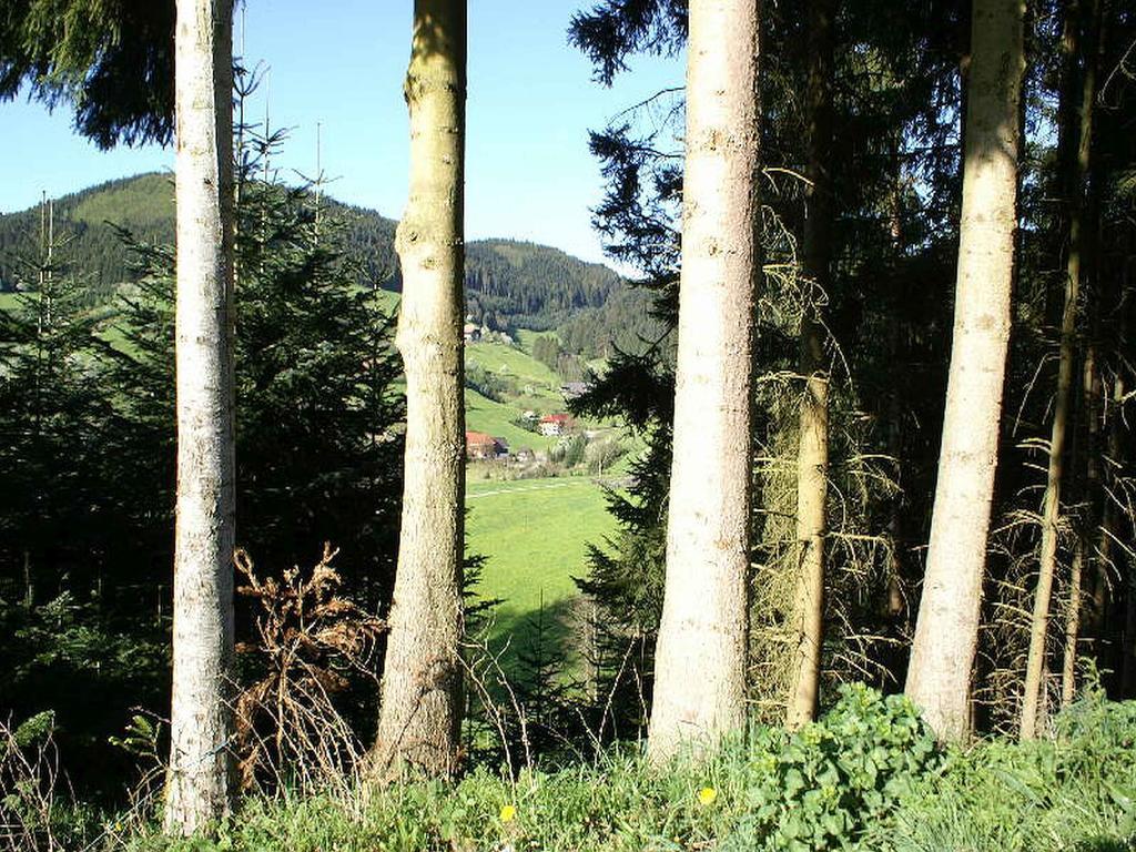 Unterer Gurethshof Apartment Zell am Harmersbach Luaran gambar